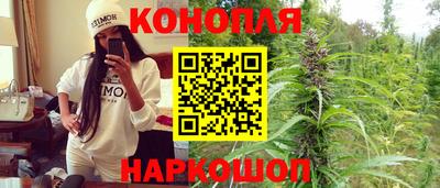 стафф Новодвинск
