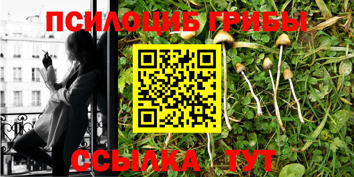 Псилоцибиновые грибы Magic Shrooms  Вход с VPN  Ульяновск 